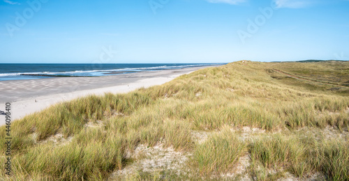 Dunes, beach and breakwaters at North Sea coastline of West Frisian island Vlieland, Netherlands