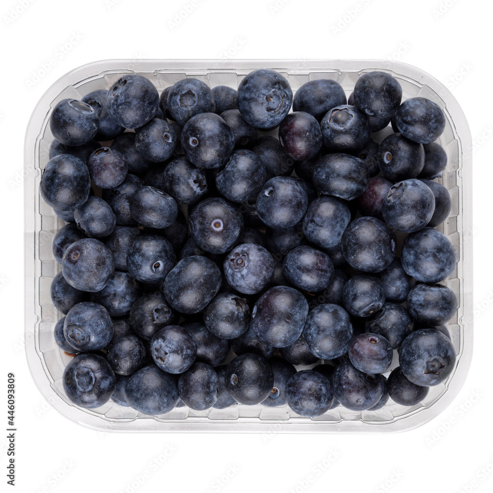 blueberries in plastic box container isolated on white background,top view blueberries in plastic box container isolated on white background,top view