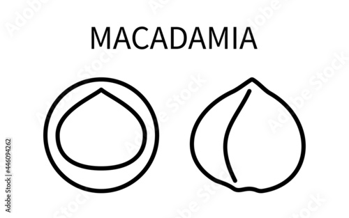 Icon Macadamia Line In A Simple Style. Source Obtaining Milk Vegetable Origin. Vector sign in a simple style isolated on a white background. Original size 64x64 pixels.