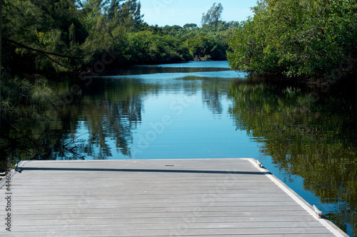 Looking out from the end of an empty pier into the imperial river surrounded by florida wilderness.