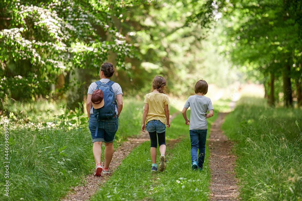 Frau und zwei Kinder wandern durch einen Wald im Sommer