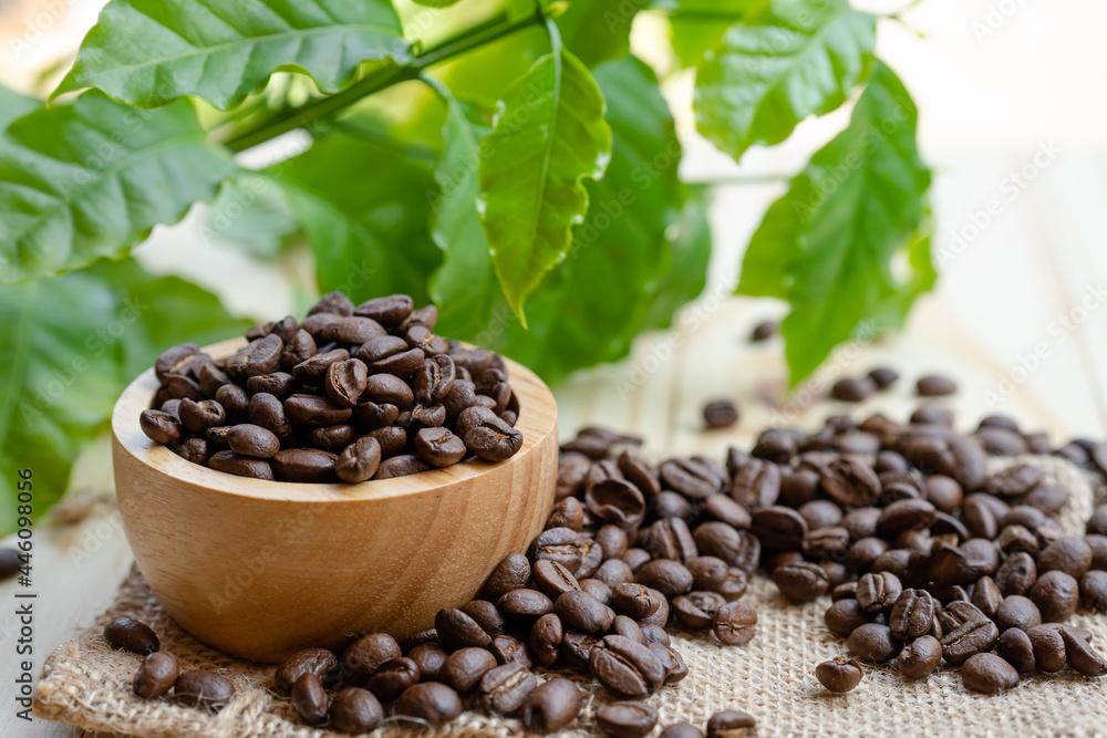 Coffee bean medium roasted in wooden bowl with leaf in fresh morning. Coffee bean medium roasted in wooden bowl with leaf in fresh morning.