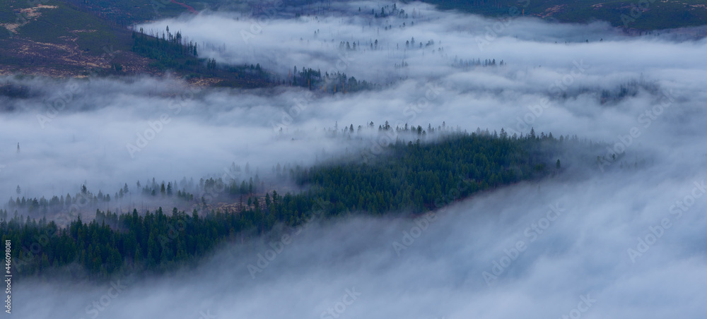 Panoramic view of the misty mountain forest covered by morning fog in the autumn season.