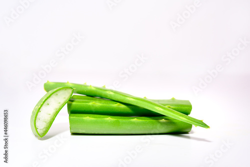 Fresh green leaf aloe vera is a medicinal plant commonly used for health and beauty. stacked fresh aloe vera plants and aloe stalks or leaves isolated on white background