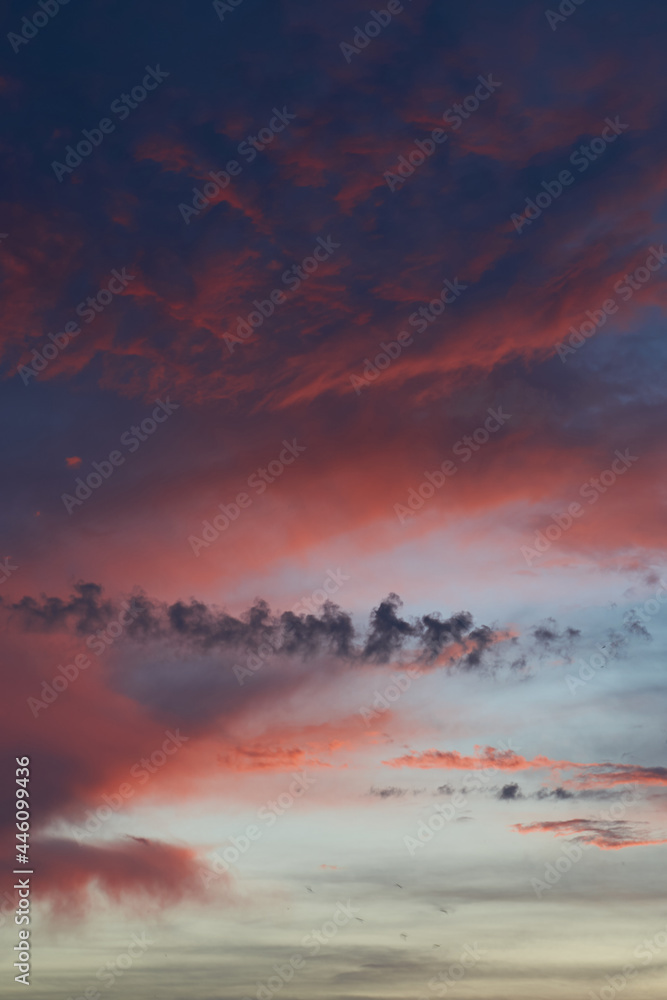 Naklejka premium Beautiful evening blue sky at sunset with flaming bright light clouds. A warm summer evening at sunset. Bright sunset.