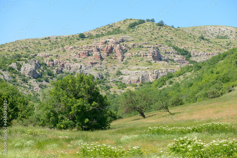 A mountain with green vegetation at the foot
