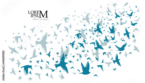 A flock of blue birds. Vector illustration