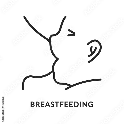 Breastfeeding flat line icon. Vector illustration correct attachment to the breast. Lactation.