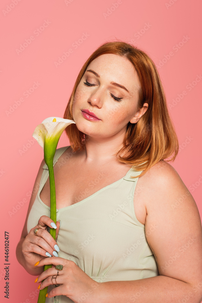 Young plus size woman with closed eyes holding calla lily isolated on pink Young plus size woman with closed eyes holding calla lily isolated on pink