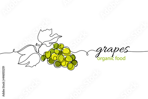 Continuous one line of grapes organic food in silhouette on a white background. Linear stylized.Minimalist.