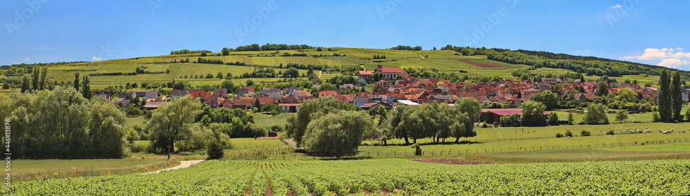 Green landscape with a view towards the small rural village in Alsace along the wine road close to Flexbourg