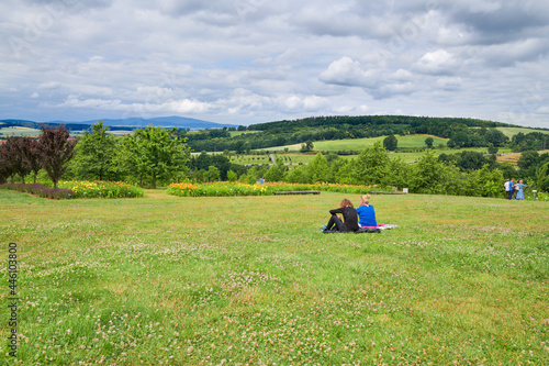 Piknik z przyjaci    mi na trawiastym wzg  rzu z widokiem na ca  y   wiat  drzewa  kwiaty   pochmurne niebo.