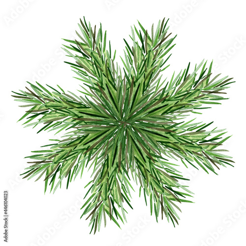 Snowflake of fir branches watercolor illustration. Template for decorating designs and illustrations.