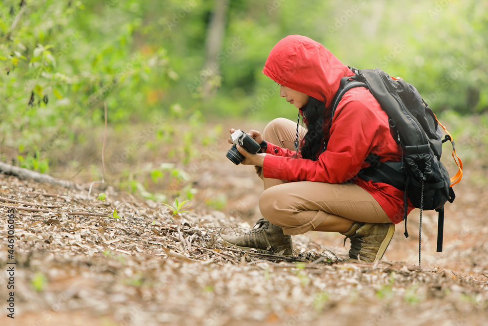 Tourist girl in red dress She went on a trip to photograph various plants in the forest for educational purposes. botanist.naturalist Tourist girl in red dress She went on a trip to photograph various plants in the forest for educational purposes. botanist.naturalist