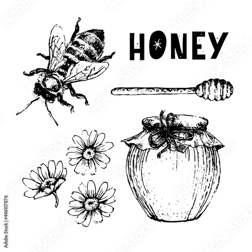 Vector honey set. Vintage hand drawn illustration. Engraved organic food