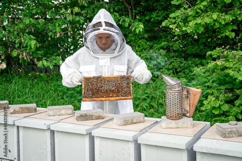 woman with a wax frame with bees in beekeeping