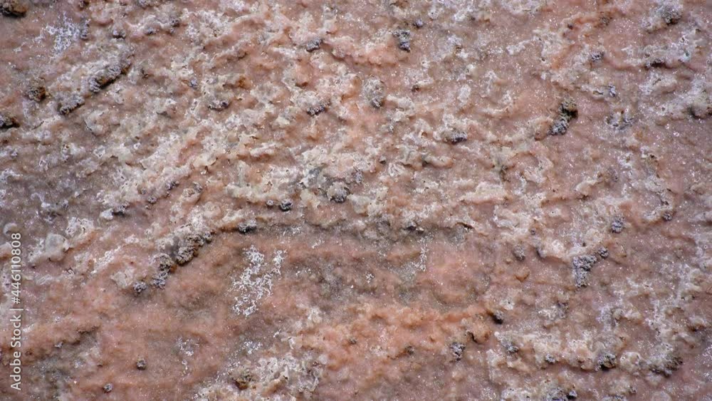 Pink Lake with Crystals of Salt. Close Up View Pink Lake with Crystals of Salt. Close Up View