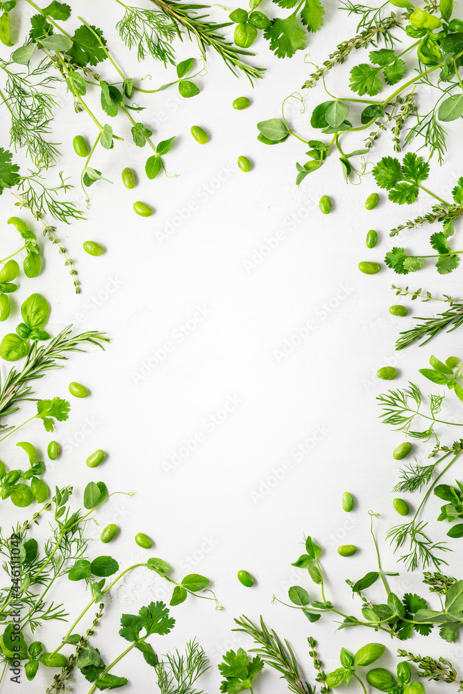 Various fresh herbs arranged in a frame. Cooking concept with spices garden herbs. Healthy food.Top view.