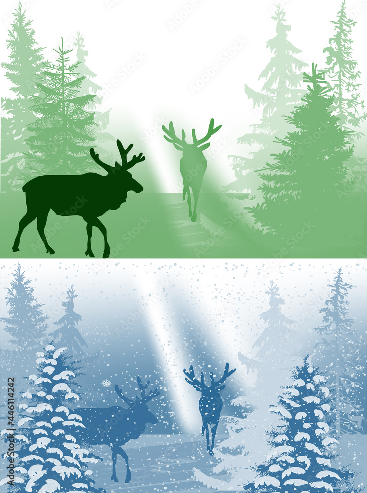 deers in summer and winter forest deers in summer and winter forest