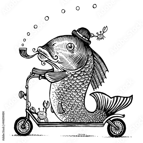 A fish rides a scooter, vector illustration. Drawing with an ink pen and pencil. Collection of fish.