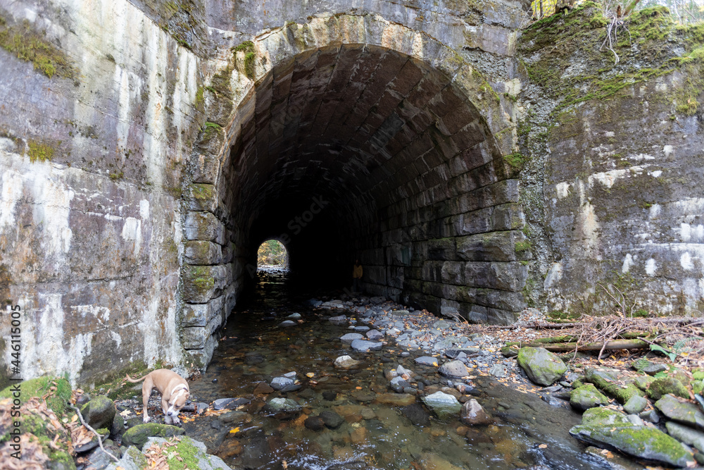 Old Railraod Tunnel with arch