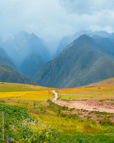Peruvian andes full of yellow flowers with a dirt road leading to the mountains, sacred valley Cusco