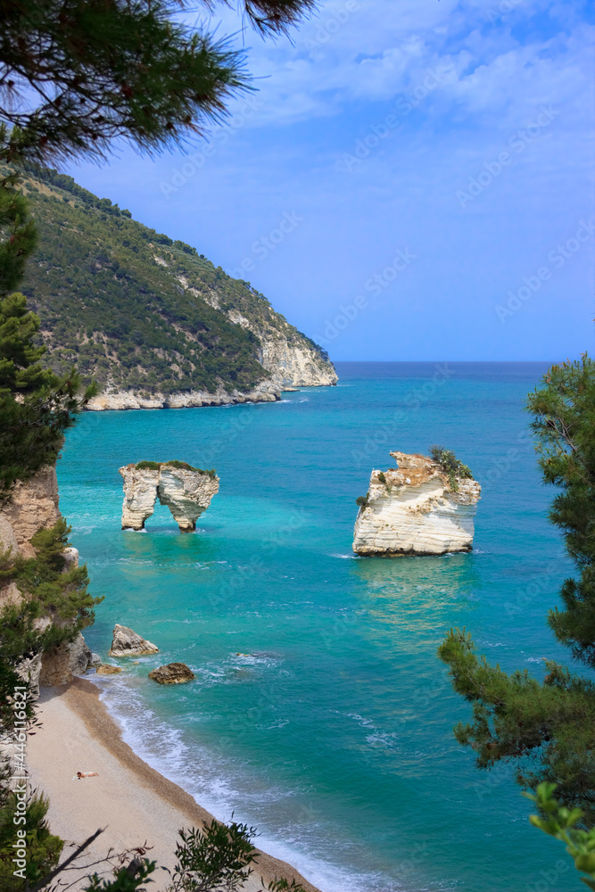 The most beautiful beach of Italy: Zagare (or Mergoli) Bay in Apulia. The beaches offer a breathtaking view with  white karst cliffs,emerald blue sea, lush greenery of olive trees, pine woods.