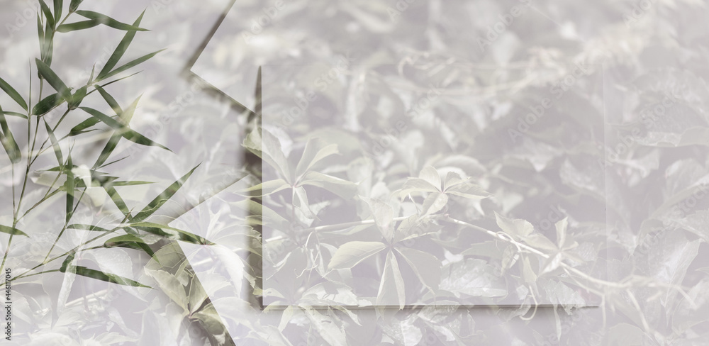 Fototapeta premium Simple Nature themed card, with a green bamboo branch and white background