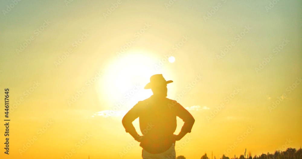 Back view of the farmer standing at the field and looking at the harvest while analyzing with sunset at the background. Agricultural business concept