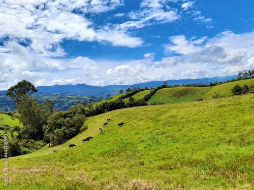 Wallpaper Mural Paisaje rural andino Torontodigital.ca