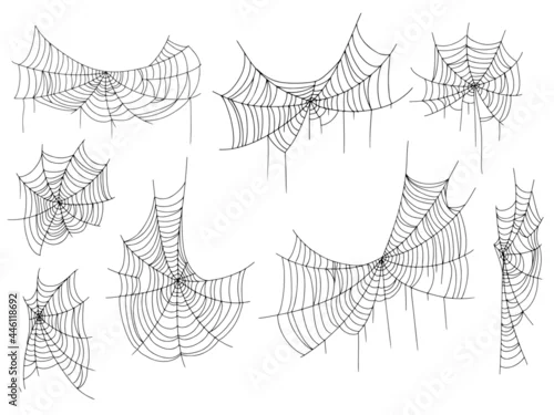 Obraz Beautiful spider web. Halloween decor. Decoration for the holiday. Vector illustration isolated on background.