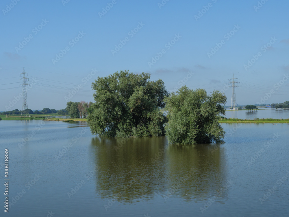 Hochwasser am Rhein bei Bislich