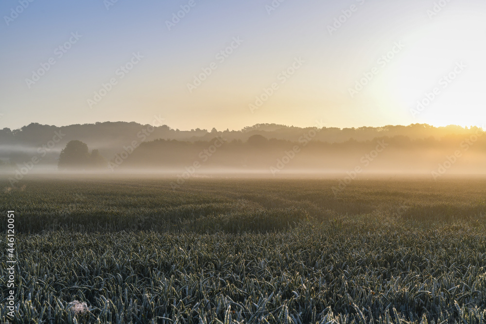 Obraz premium Im Nebel sieht man das ganze Ausmaß der Zerstörung zweiter Tag nach dem Hochwasser in Kettwig und Mülheim an der Ruhr