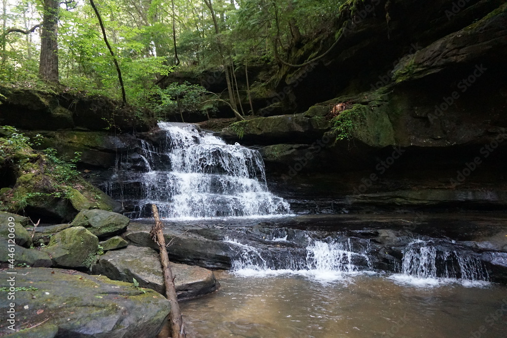Fototapeta premium waterfall in the forest