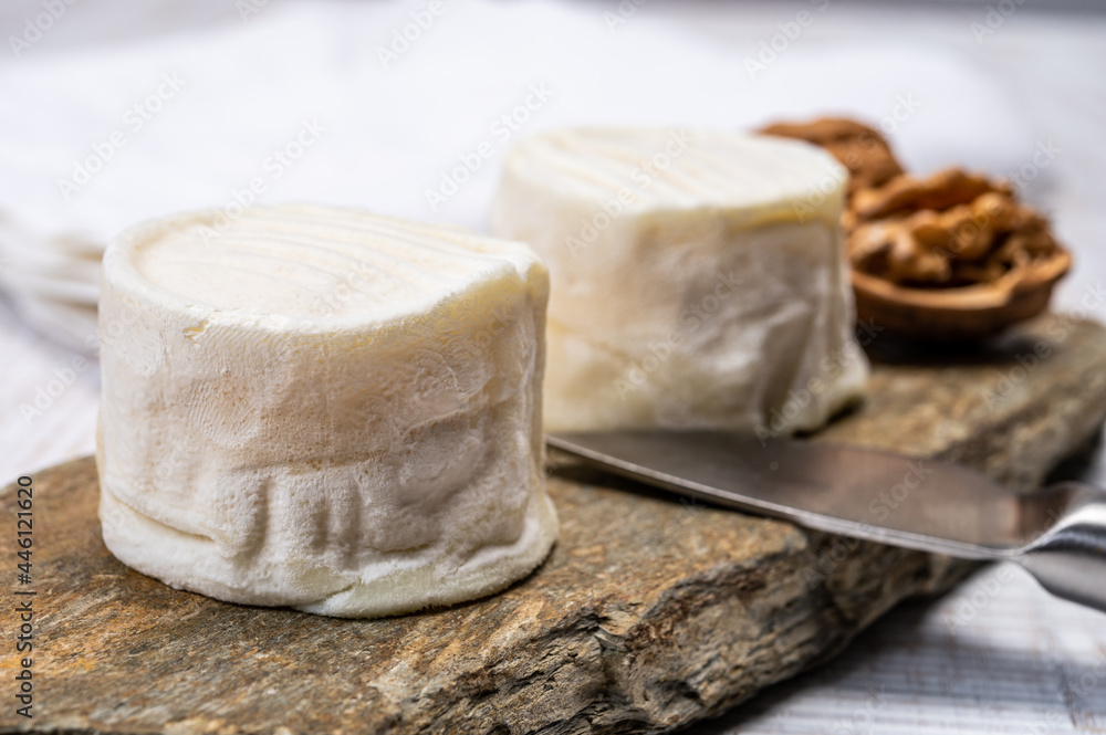 Cheese collection, soft goat French cheese with mold crottin de Chavignol produced in Loire Valley Cheese collection, soft goat French cheese with mold crottin de Chavignol produced in Loire Valley