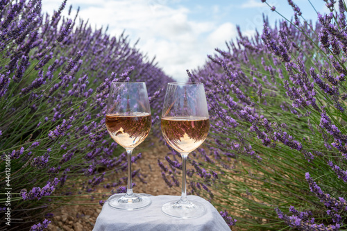 Summer in French Provence, cold gris rose wine from Cotes de Provence and colorful lavender fields on Valensole plateau, tastes and aromas of Provence, France
