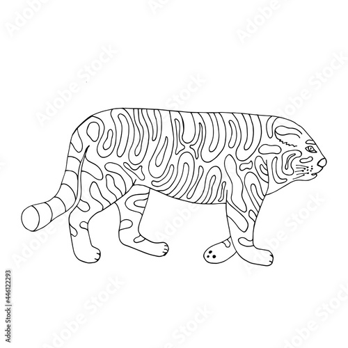 Funny tiger. Vector character in cartoon style. Hand drawn in doodle style. Isolated. Coloring pages for children and adults. Can be used in your projects in banners and posters and postcards