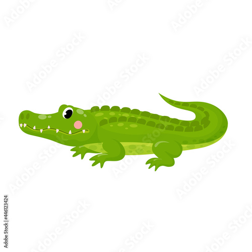 Vector illustration of cute alligator isolated crocodile in cartoon style on white background. Use for kids app, game, book, clothing print T-shirt print, baby shower.