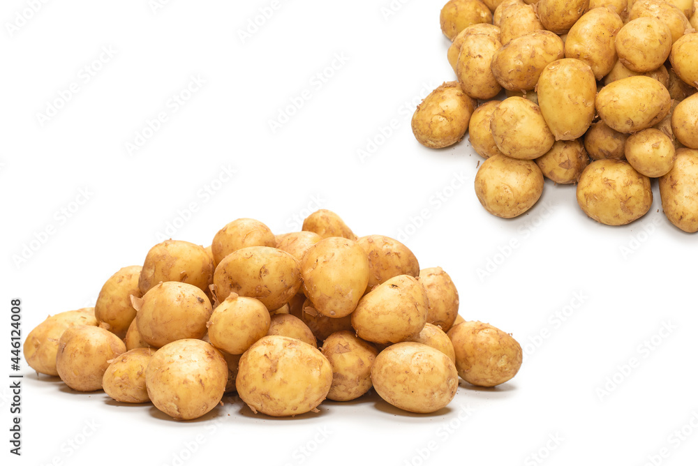 Raw potato isolated on a white background. Raw potato isolated on a white background.