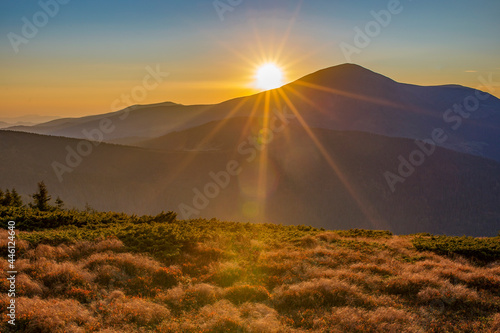 Sunset in the Carpathian mountains. Sun disk and long rays at sunset on the mountain top. Picturesque sunset in the mountains.Vibrant photo wallpaper. Petros Mountain (2020 m), Chornohora ridge.