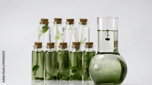 Chlorophyll extract is poured in pure water in glass against a white grey background and Micro greens or sprouts of raw live sprouting vegetables sprout from organic plant seeds. Growing  fresh plants photo