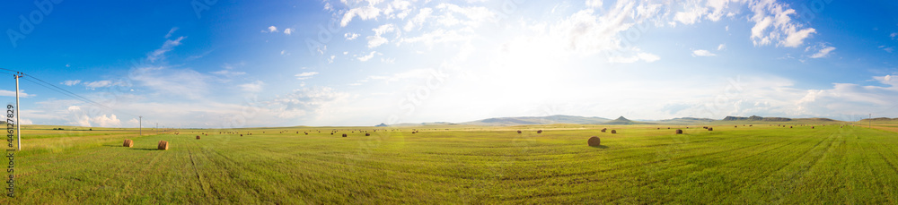Russian summer panoramic landscape with sunny green meadows with mown hay, haystacks and awe sky with clouds.