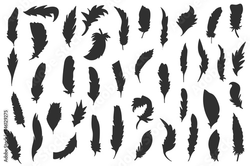 Vector group of black feather. Vector illustration. Black silhouette icon set. Vector feather illustration on white background