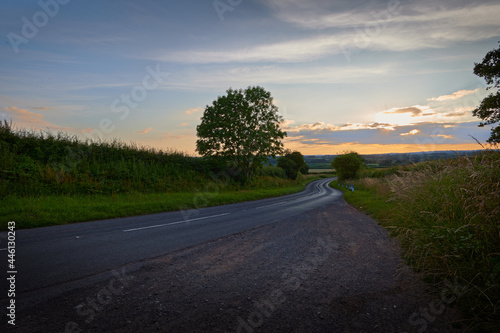 Country road in english countryside in summer with blue sky in the evening with trees and hedges
