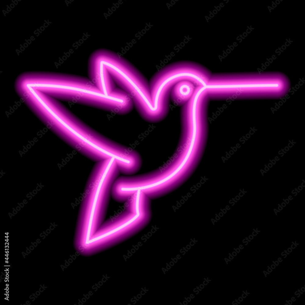 Neon pink outline of hummingbird on a black background. One object. Vector icon illustration Neon pink outline of hummingbird on a black background. One object. Vector icon illustration