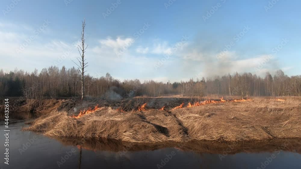 Spring Wildfire - bushfire burning, Forest fire and field fire, dry grass burns. Wild Fire burns stubble on the farm Spring Wildfire - bushfire burning, Forest fire and field fire, dry grass burns. Wild Fire burns stubble on the farm