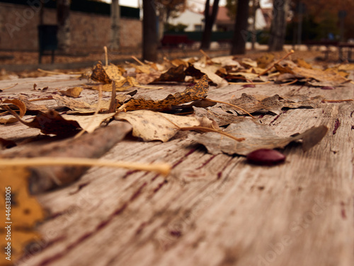 Horizontal background for copy space with Autumn colors composed of fallen leaves on an old wooden table in a park