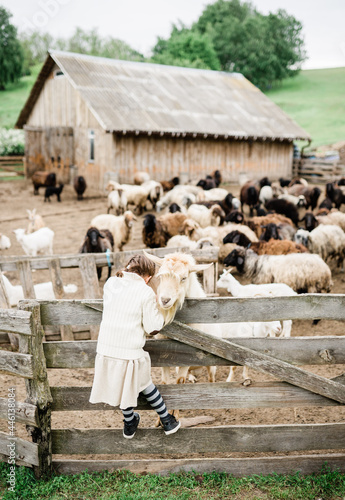 Little girl and shepherd dog on the farm. Agritourism concept. Life in the countryside