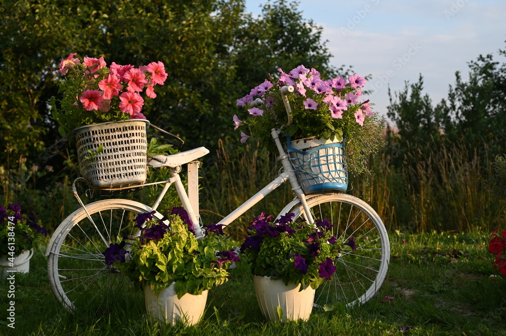 bicycle and flowers