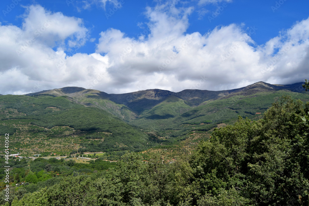 Panoramic view of forest, mountain range with cloudy sky Panoramic view of forest, mountain range with cloudy sky